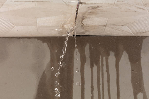 Professional Structural Drying technician working in Wimberley, TX